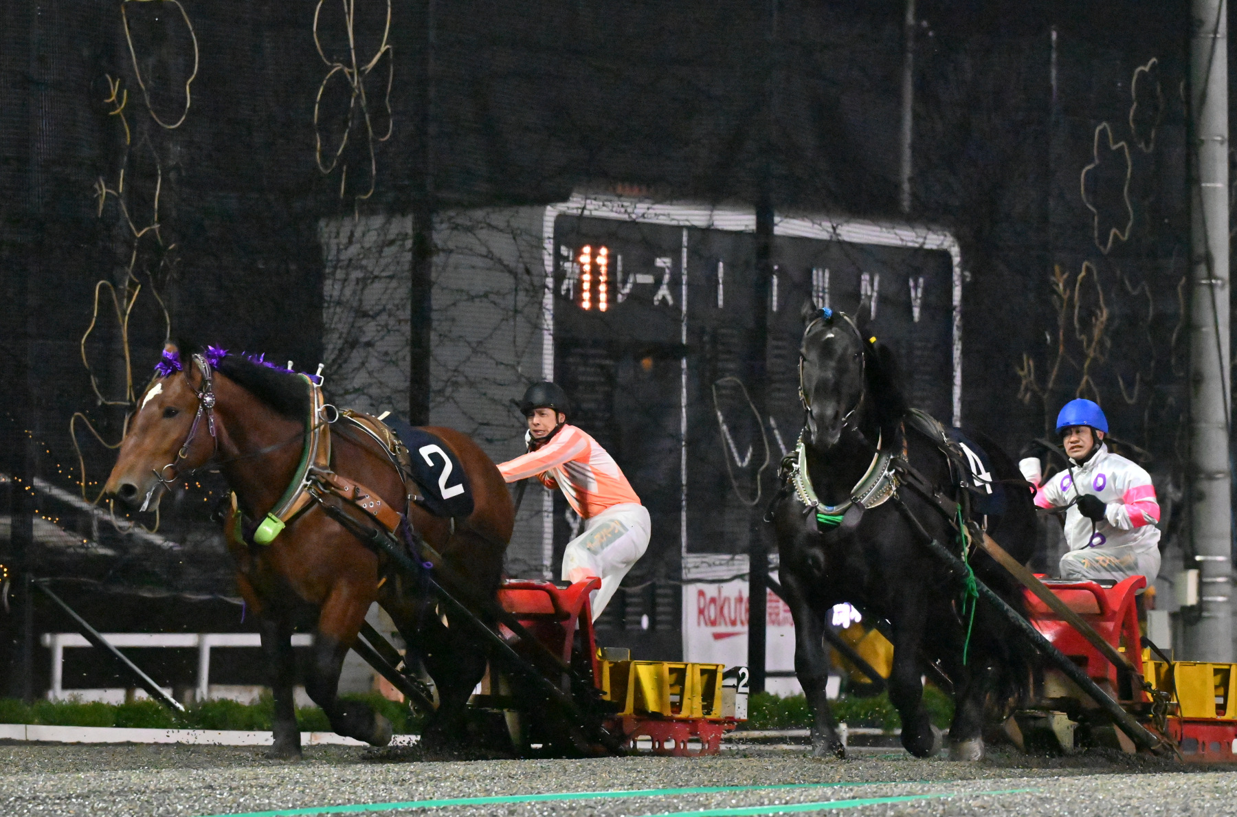 第48回ナナカマド賞（BG3）