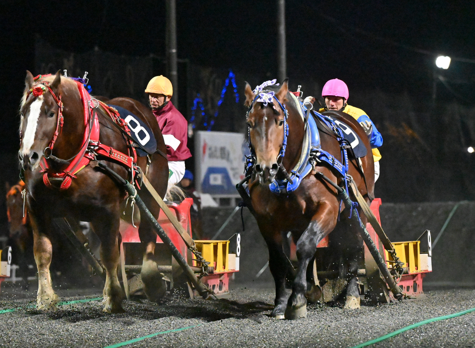 第50回ばんえい菊花賞（BG2）