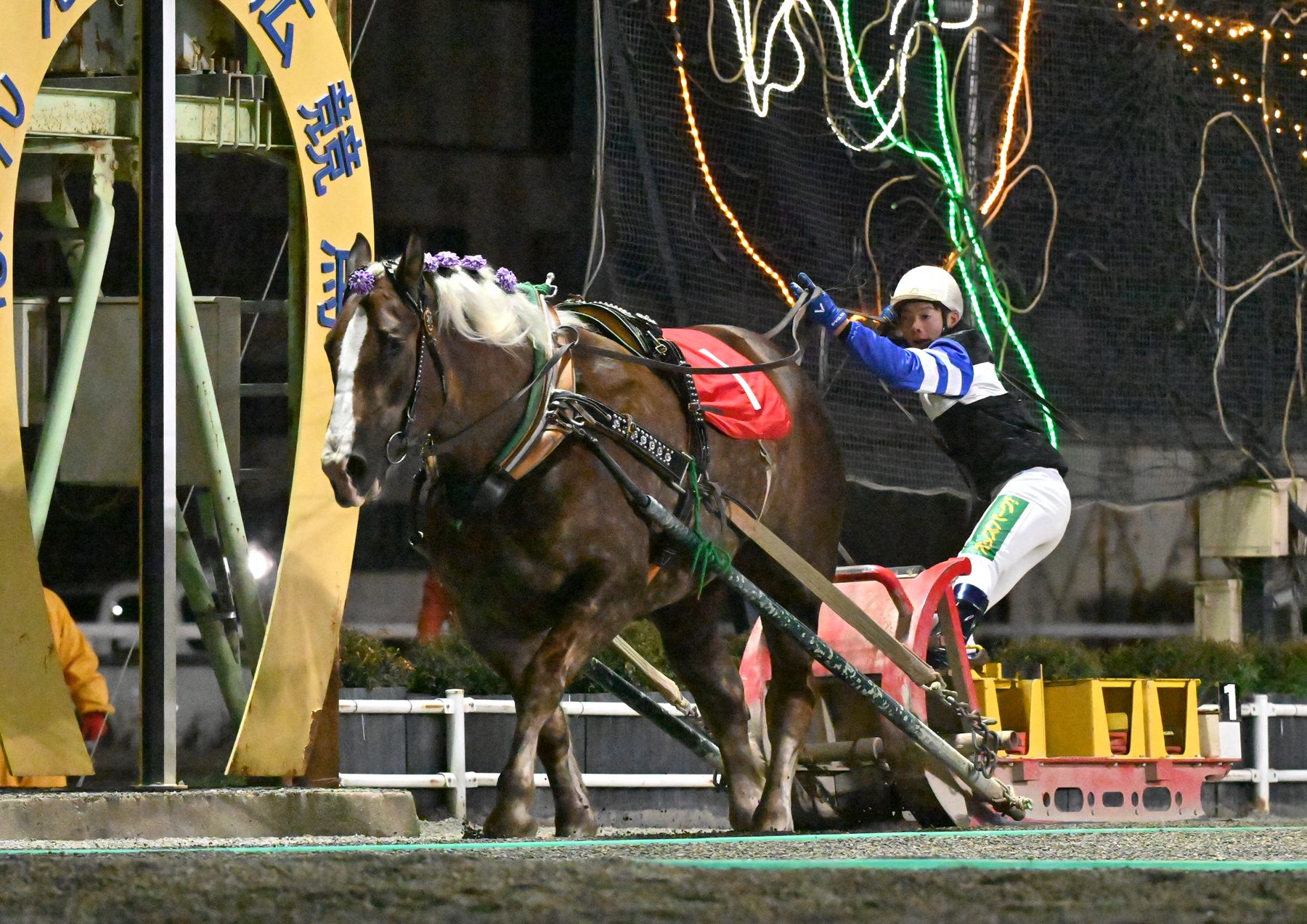 第50回クインカップ（BG3）