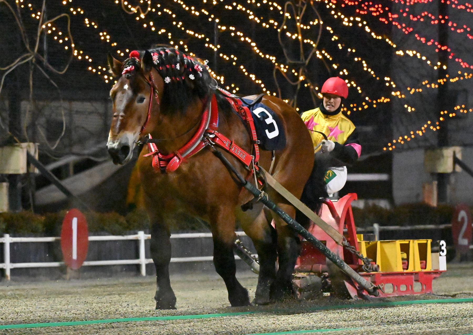 第16回ドリームエイジカップ(BG3)