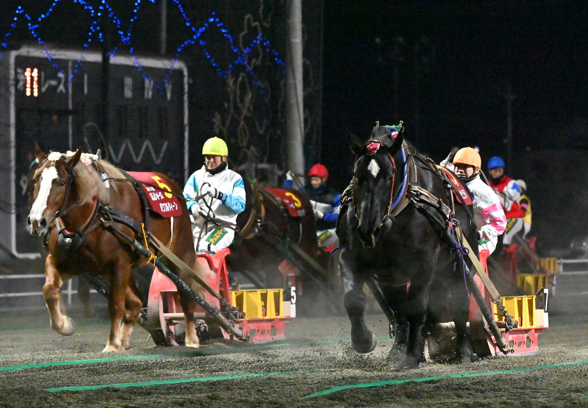 第50回ばんえいオークス（BG1）