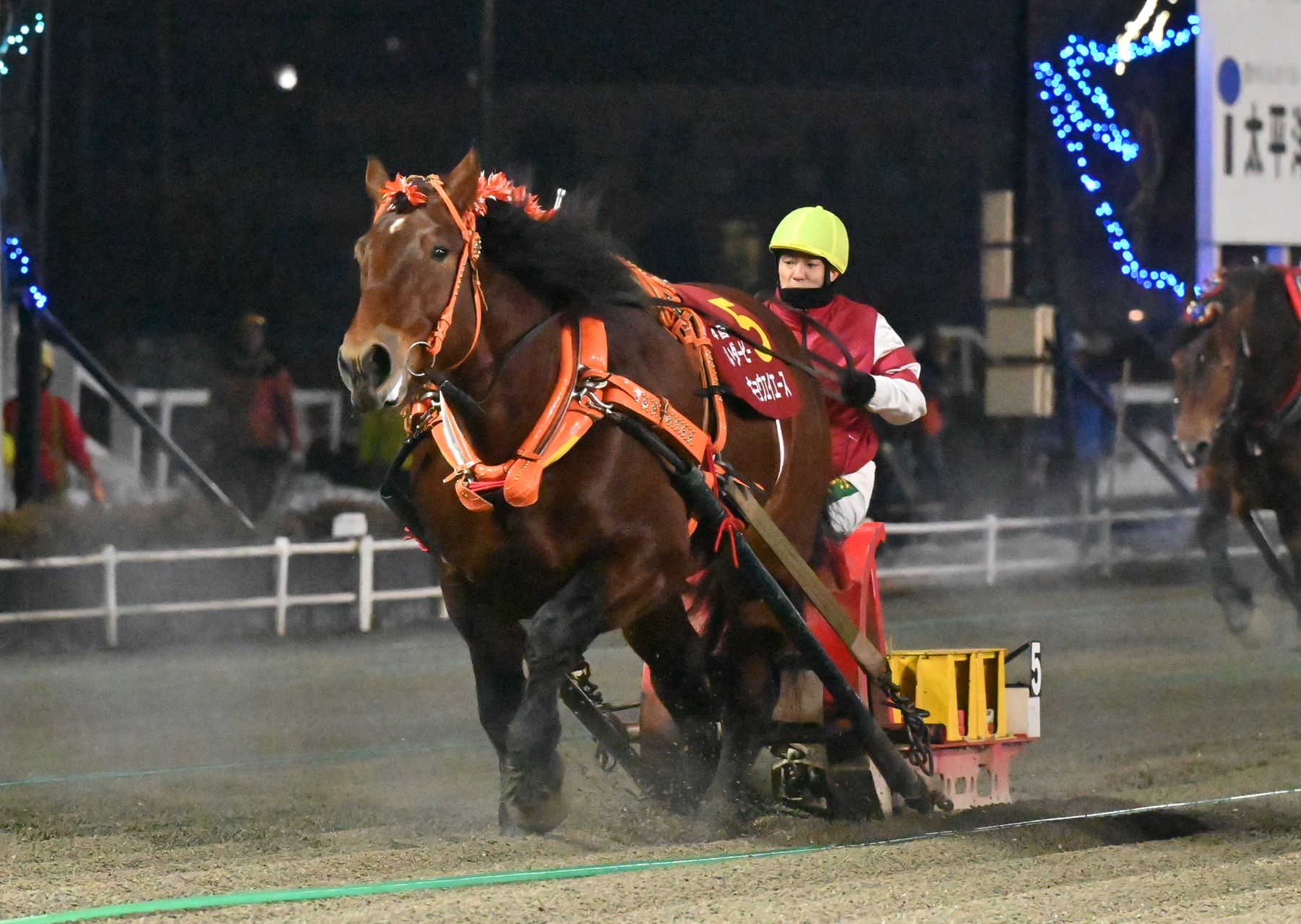 第54回ばんえいダービー（BG1）キョウエイエース
