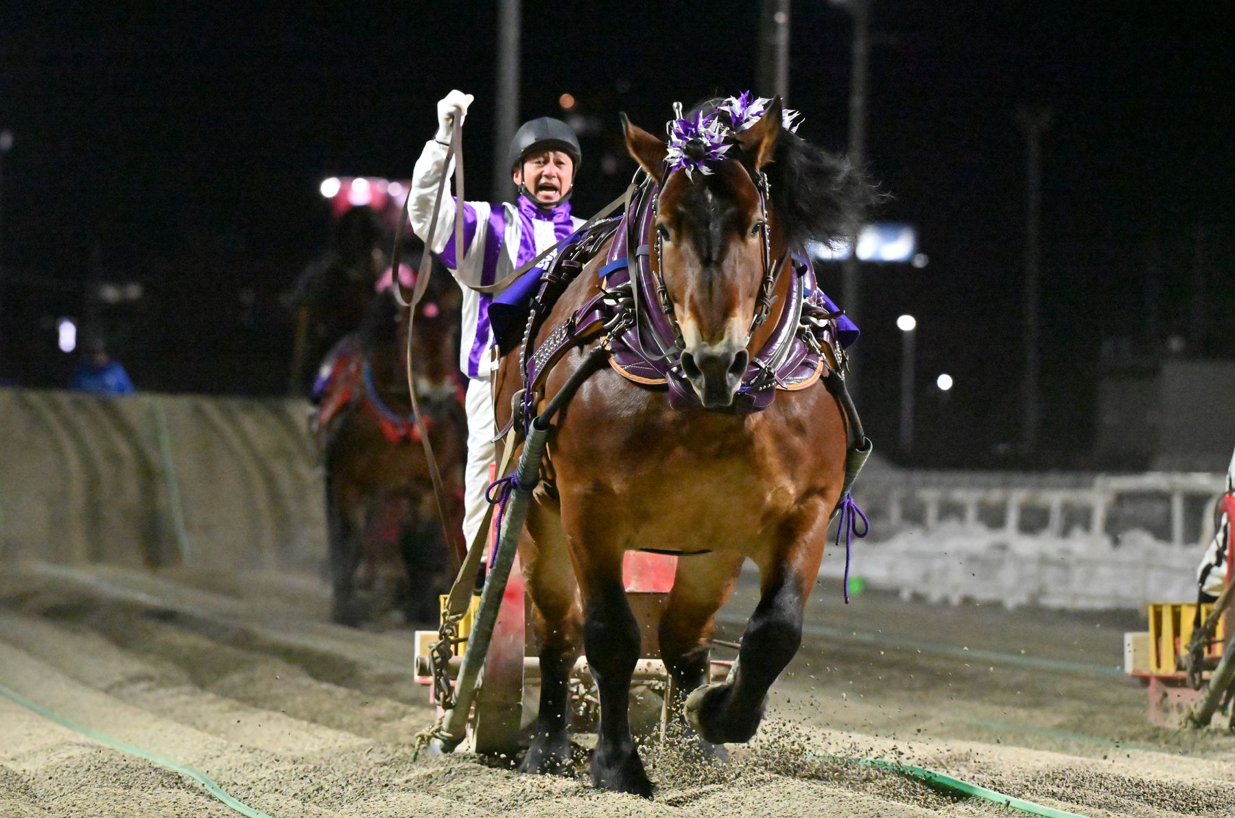 第48回帯広記念(BG1)メムロボブサップ