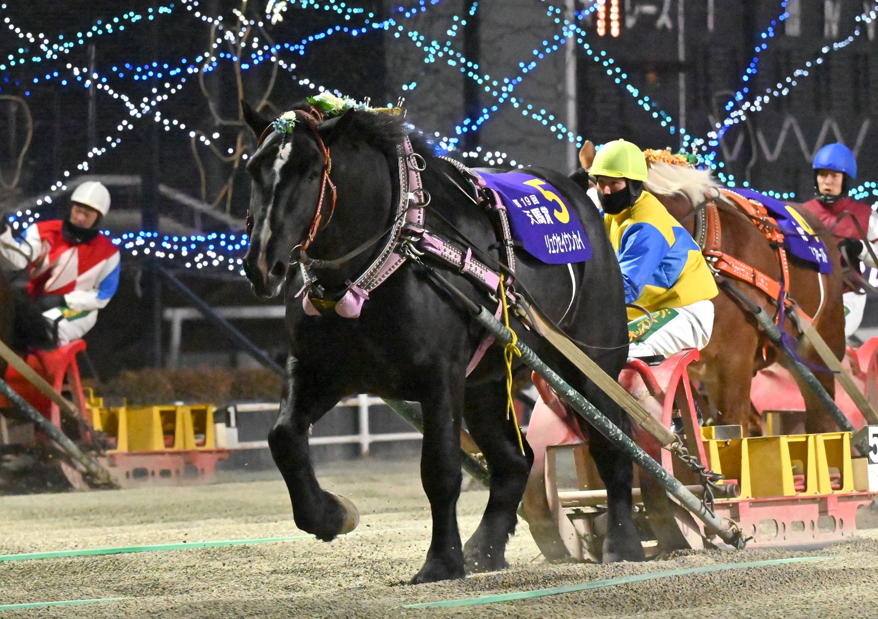 第19回天馬賞（BG1）