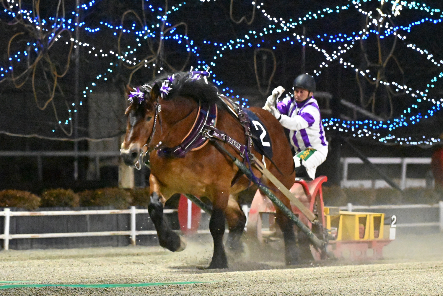 第47回チャンピオンカップ（BG2）メムロボブサップ