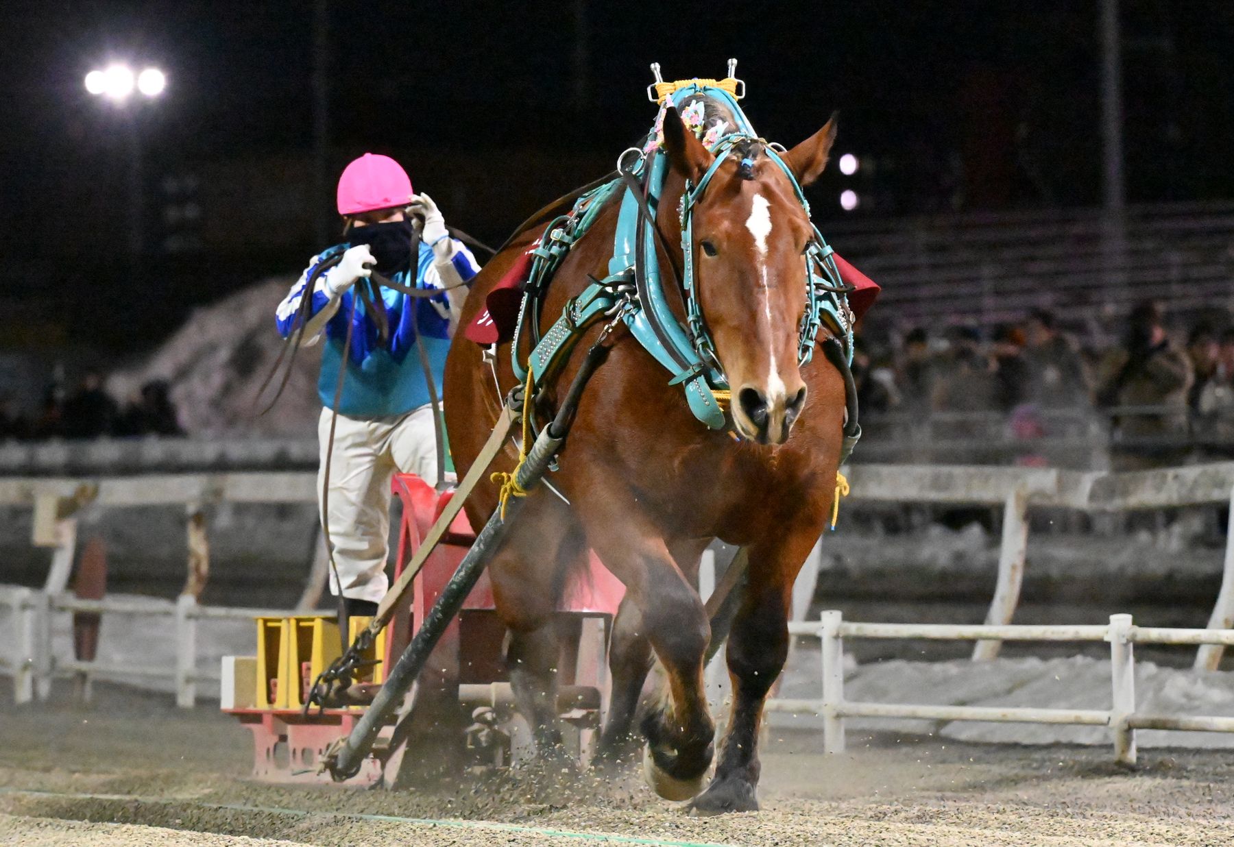 第36回ヒロインズカップ（BG1）