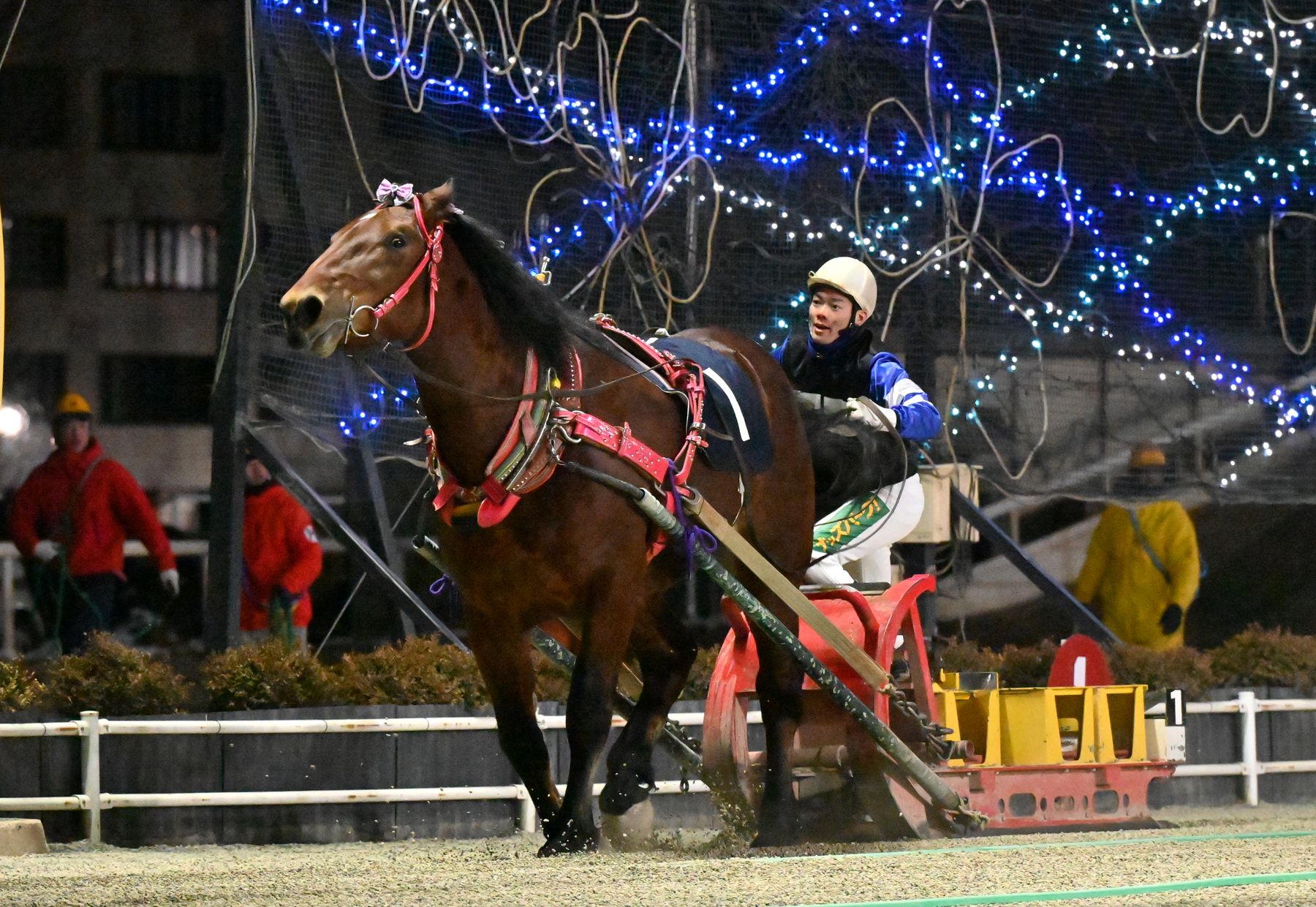 第6回翔雲賞（BG2）レッドウンカイ