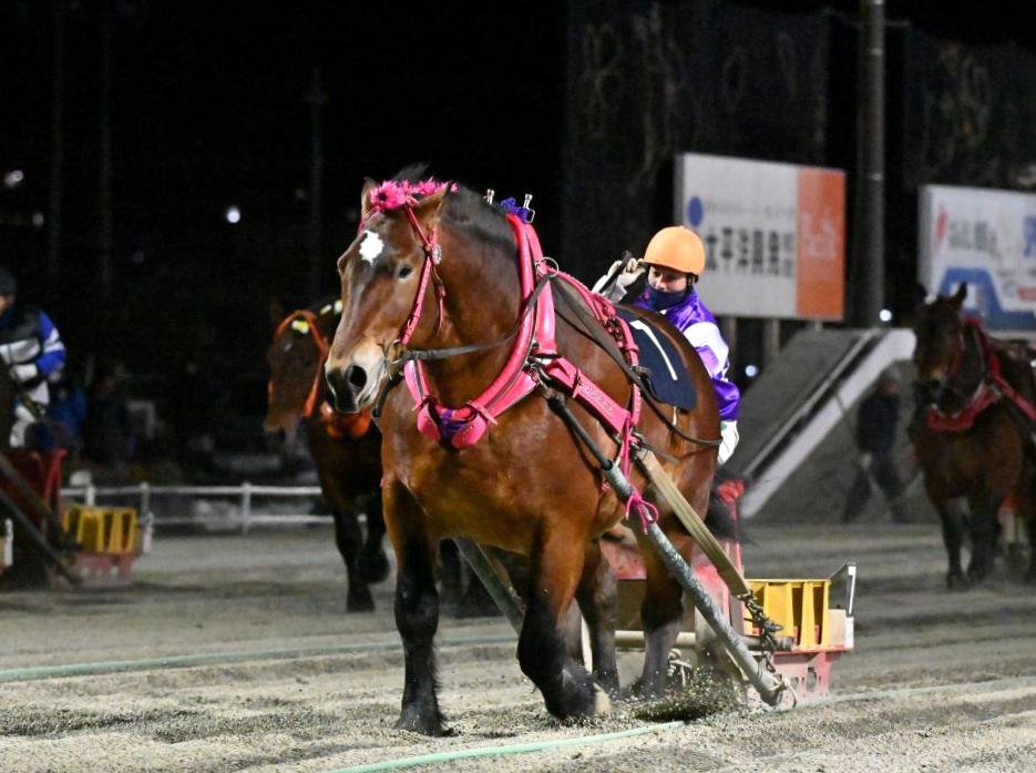 第47回ポプラ賞（BG3）