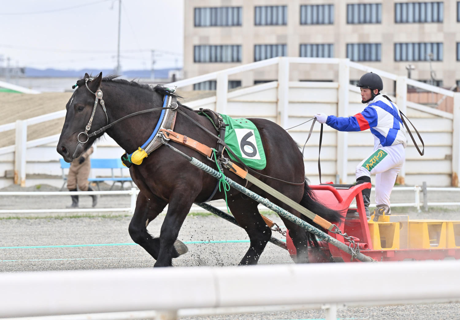第1回能力検査の1番時計、アオニシキ